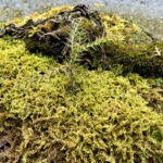 【画像】秋の渓谷ハイキング！　神奈川県山北町のユーシン渓谷で魅惑のユーシンブルーと紅葉美色三昧 〜 画像1