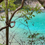 【画像】秋の渓谷ハイキング！　神奈川県山北町のユーシン渓谷で魅惑のユーシンブルーと紅葉美色三昧 〜 画像1