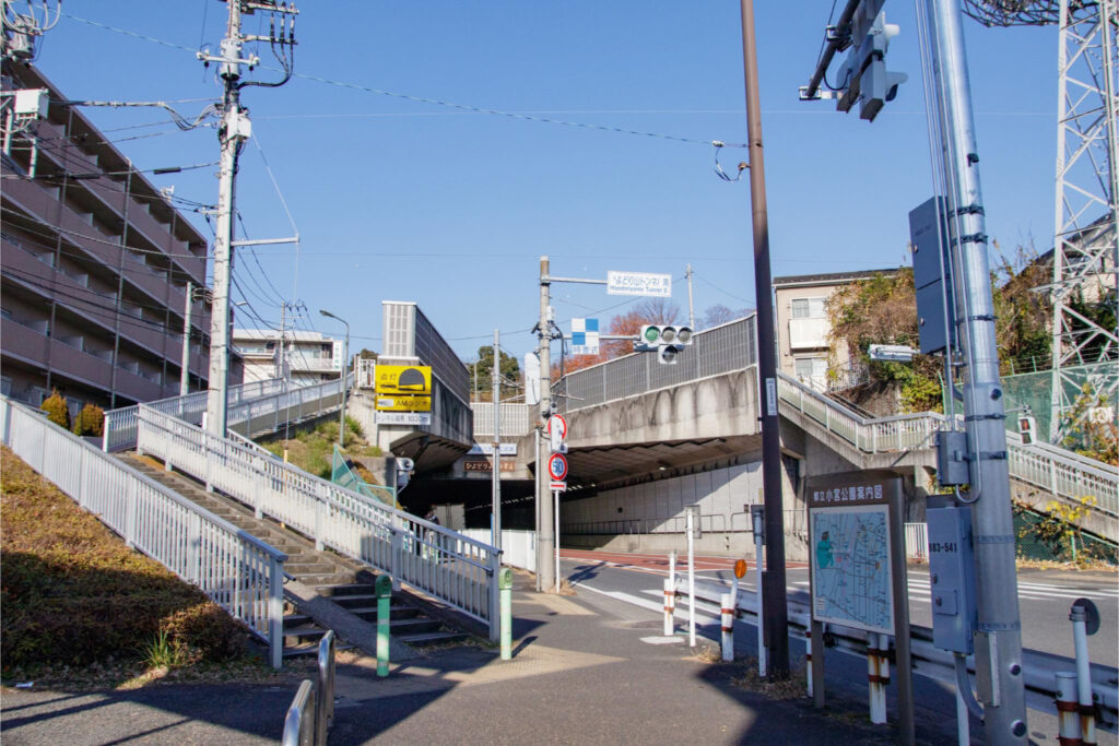 公園に至る階段