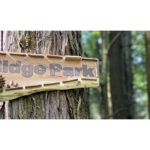 【画像】ダカールラリーを震撼させた電動オフロードバイク「Arctic Leopard」の公道モデルが遂に登場！　軽二輪の常識を覆すモンスターマシン「XE Pro S」が日本初上陸 〜 画像1