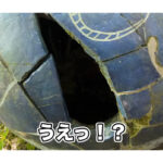 【画像】ほんとにご利益があるのか!?　災難続きのYouTuberが「龍吟の滝」でマイナスイオンに癒やされる 〜 画像1