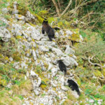 【画像】冬眠しない熊から身を守る！　Fujikonが提案する「音」で回避し「スプレー」で守る多角的な熊対策とは 〜 画像1