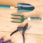 【画像】広い庭がないからって諦めない……！　ベランダを上手に活用して「家庭菜園」を楽しもう 〜 画像1