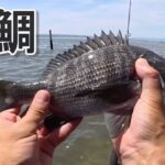 【画像】浜名湖の超浅瀬で奇跡の黒鯛釣り？　「こんな釣ってる人みたことない」と絶賛の声が続出 〜 画像1