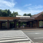 【画像】迫力満点過ぎる！　動物たちが間近に感じられるおすすめの「サファリパーク」3選 〜 画像1