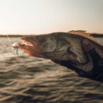 【画像】黒船来航!?　米国発の釣具ブランド「KastKing」が日本上陸「フィッシングショーOSAKA 2026」で全貌が明らかに 〜 画像1