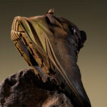 【画像】伝説の継承と進化！　新モデル「TARGHEE APEX」が切り拓く“Fast & Light”なハイキングの新基準 〜 画像1