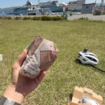 【画像】佐渡の魅力は海だけじゃない！　トキの里グラベルライドで知る佐渡の大自然の魅力をご紹介 〜 画像1