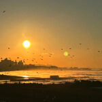 【画像】湘南の宝石の分身!?　神奈川県藤沢市の「鵠沼海浜公園ハグライトパーク」で朝と夕に光の芸術作品を満喫 〜 画像1
