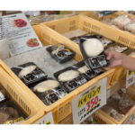 【画像】幻想的なホタルと雲の上のパン屋に癒やされる！　家族3人で巡る車中泊の旅が幸せ過ぎる 〜 画像1