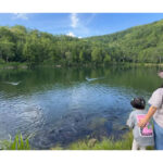 【画像】幻想的なホタルと雲の上のパン屋に癒やされる！　家族3人で巡る車中泊の旅が幸せ過ぎる 〜 画像1