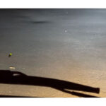 【画像】幻想的なホタルと雲の上のパン屋に癒やされる！　家族3人で巡る車中泊の旅が幸せ過ぎる 〜 画像1