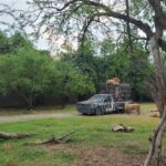 【画像】迫力満点過ぎる！　動物たちが間近に感じられるおすすめの「サファリパーク」3選 〜 画像1