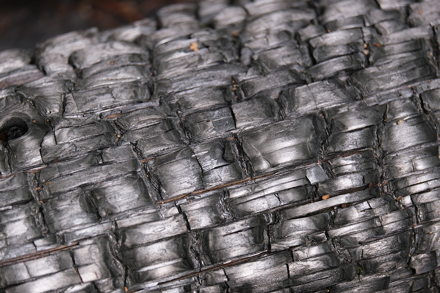 炭を捨てるなんてもったいない！　「使用済みの炭」のエコ＆便利な活用術とは