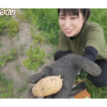 【画像】無人島生活へのさらなる一歩！　じゃがいも5品種の育て比べチャレンジに視聴者から応援のコメントが溢れる 〜 画像1