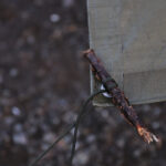 【画像】「ブッシュクラフト」よりも過酷？　“生きるための知恵”を育てる「サバイバルキャンプ」とは 〜 画像1