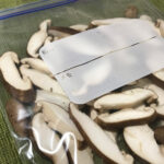 【画像】鮮度管理がアウトドアの必須条件！　キャンプで安心して食材を扱うコツとは 〜 画像1