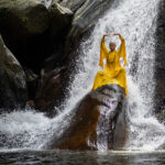 【画像】非日常でリフレッシュ！　一般の人も参加できる「お寺で修行体験」の魅力とは 〜 画像1