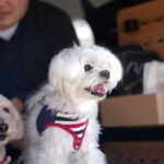 【画像】車内を「用途」から解放する！　余白をデザインするモジュールシステム「tac・luc」の正体とは 〜 画像1