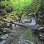 【画像】増水した激流に突入！　四国最後の秘境は最初から「いきなりガチな」スリリングのゴルジュ攻めがヤバすぎる 〜 画像1