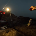 【画像】夏の無人島釣りキャンプ！　ハプニングはありつつもイサキ爆釣で大満喫な釣行に視聴者からコメントが溢れる 〜 画像1