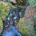 【画像】陣馬山から高尾山へ5時間半のロングトレイル！　山火事注意のヘトヘト凍れる快晴の「冬ハイキング」で危ない転倒体験 〜 画像1