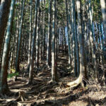 【画像】陣馬山から高尾山へ5時間半のロングトレイル！　山火事注意のヘトヘト凍れる快晴の「冬ハイキング」で危ない転倒体験 〜 画像1