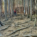 【画像】陣馬山から高尾山へ5時間半のロングトレイル！　山火事注意のヘトヘト凍れる快晴の「冬ハイキング」で危ない転倒体験 〜 画像1