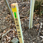 【画像】陣馬山から高尾山へ5時間半のロングトレイル！　山火事注意のヘトヘト凍れる快晴の「冬ハイキング」で危ない転倒体験 〜 画像1