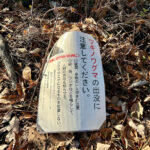 【画像】陣馬山から高尾山へ5時間半のロングトレイル！　山火事注意のヘトヘト凍れる快晴の「冬ハイキング」で危ない転倒体験 〜 画像1