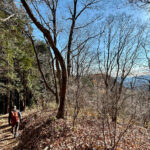 【画像】陣馬山から高尾山へ5時間半のロングトレイル！　山火事注意のヘトヘト凍れる快晴の「冬ハイキング」で危ない転倒体験 〜 画像1