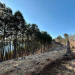 【画像】陣馬山から高尾山へ5時間半のロングトレイル！　山火事注意のヘトヘト凍れる快晴の「冬ハイキング」で危ない転倒体験 〜 画像1