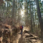 【画像】陣馬山から高尾山へ5時間半のロングトレイル！　山火事注意のヘトヘト凍れる快晴の「冬ハイキング」で危ない転倒体験 〜 画像1