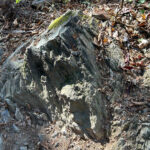 【画像】陣馬山から高尾山へ5時間半のロングトレイル！　山火事注意のヘトヘト凍れる快晴の「冬ハイキング」で危ない転倒体験 〜 画像1