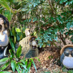 【画像】陣馬山から高尾山へ5時間半のロングトレイル！　山火事注意のヘトヘト凍れる快晴の「冬ハイキング」で危ない転倒体験 〜 画像1