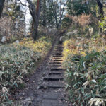 【画像】陣馬山から高尾山へ5時間半のロングトレイル！　山火事注意のヘトヘト凍れる快晴の「冬ハイキング」で危ない転倒体験 〜 画像1