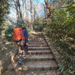 【画像】陣馬山から高尾山へ5時間半のロングトレイル！　山火事注意のヘトヘト凍れる快晴の「冬ハイキング」で危ない転倒体験 〜 画像1