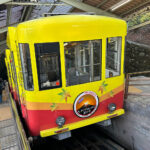 【画像】陣馬山から高尾山へ5時間半のロングトレイル！　山火事注意のヘトヘト凍れる快晴の「冬ハイキング」で危ない転倒体験 〜 画像1