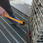 【画像】陣馬山から高尾山へ5時間半のロングトレイル！　山火事注意のヘトヘト凍れる快晴の「冬ハイキング」で危ない転倒体験 〜 画像1