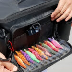 【画像】春のエギングで“噛み合わない”理由とは？　アオリイカ狙いのランガンで「エギ交換」と「動線」が釣果を分かつ 〜 画像1