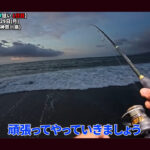 【画像】相模湾でヒラソウダ釣りにチャレンジ！　2026年冬の海釣り「ハイシーズン開幕」ルアー釣りの釣果やいかに 〜 画像1