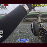 【画像】相模湾でヒラソウダ釣りにチャレンジ！　2026年冬の海釣り「ハイシーズン開幕」ルアー釣りの釣果やいかに 〜 画像1