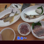 【画像】相模湾でヒラソウダ釣りにチャレンジ！　2026年冬の海釣り「ハイシーズン開幕」ルアー釣りの釣果やいかに 〜 画像1