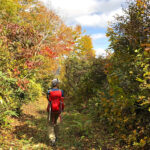 【画像】自然の中で自分と向き合う時間にも……　数日以上かけて踏破する“ロングトレイル”とは 〜 画像1