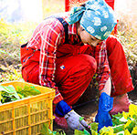 【画像】モンベル代表の辰野勇氏が7つのミッションの功績で全国日本学士会アカデミア賞を受賞 〜 画像1