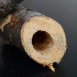 【画像】親子で楽しむだけじゃない！　大人だからこそ味わえるネイチャークラフトの世界とは 〜 画像1