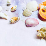 【画像】親子で楽しむだけじゃない！　大人だからこそ味わえるネイチャークラフトの世界とは 〜 画像1