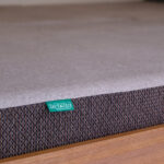 【画像】ジャパンキャンピングカーショー2026で待望の「新型DA VINCI6.0」をワールドプレミア 〜 画像1