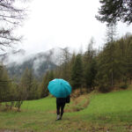 【画像】登山に傘は意外と便利？　登山に傘を持っていくメリットと注意点とは 〜 画像1