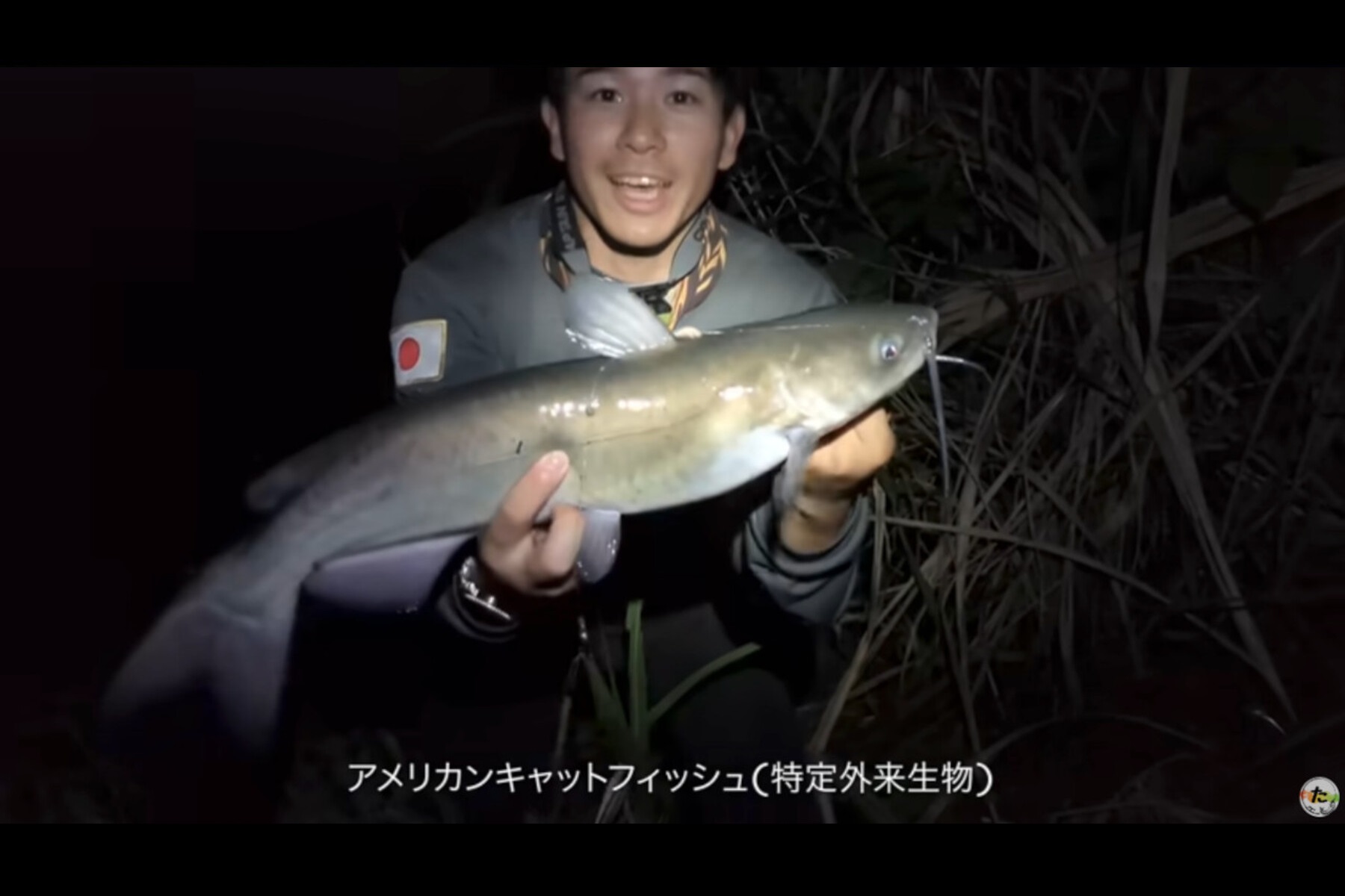 特大ウナギを狙うも、アメリカンキャットフィッシュを釣り上げたたつおさん